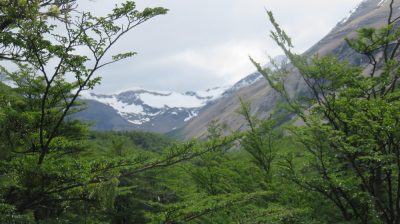Patagonie — étape 6 : Torres del Paine
