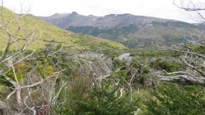 Patagonie — étape 6 : Torres del Paine