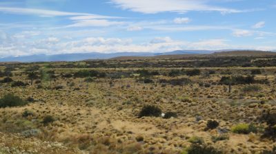 Patagonie — étape 7 : Puerto Natales - El Calafate