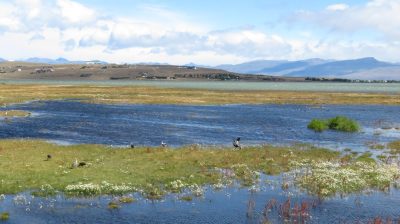 Patagonie — étape 9 : El Calafate - El Chalten