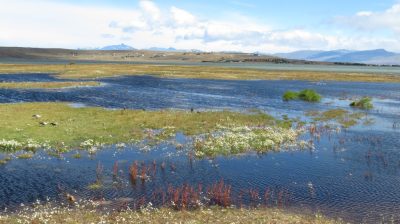 Patagonie — étape 9 : El Calafate - El Chalten