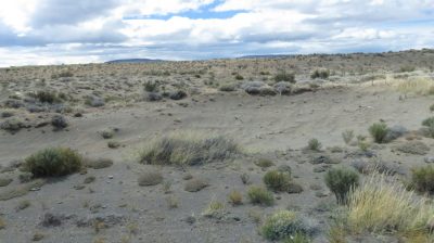 Patagonie — étape 9 : El Calafate - El Chalten