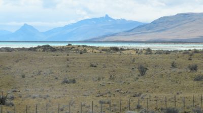 Patagonie — étape 9 : El Calafate - El Chalten