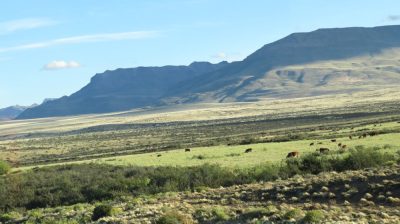 Patagonie — étape 9 : El Calafate - El Chalten