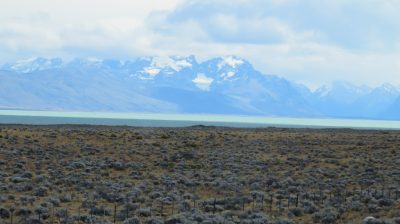 Patagonie — étape 9 : El Calafate - El Chalten