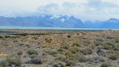 Patagonie — étape 9 : El Calafate - El Chalten
