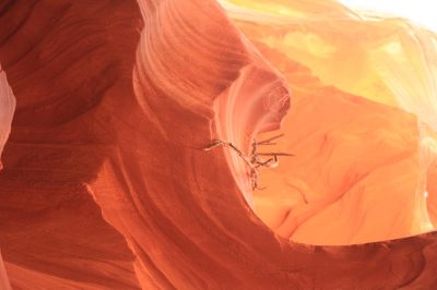États-Unis — étape 7 : Lower Antelope Canyon, Horseshoe Bend, Lac Powell, Paria Rimrocks Toadstool Hoodoos