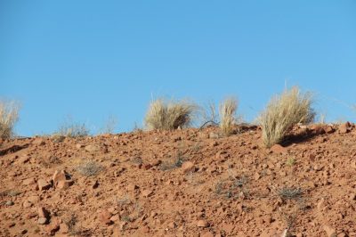 États-Unis — étape 7 : Lower Antelope Canyon, Horseshoe Bend, Lac Powell, Paria Rimrocks Toadstool Hoodoos