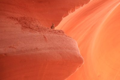États-Unis — étape 7 : Lower Antelope Canyon, Horseshoe Bend, Lac Powell, Paria Rimrocks Toadstool Hoodoos