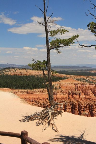 États-Unis — étape 9 : Parc national de Bryce Canyon