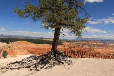 États-Unis — étape 9 : Parc national de Bryce Canyon