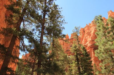 États-Unis — étape 9 : Parc national de Bryce Canyon