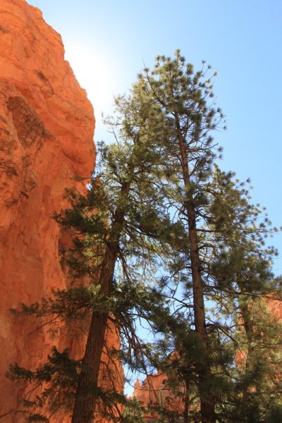 États-Unis — étape 9 : Parc national de Bryce Canyon