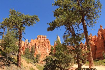 États-Unis — étape 9 : Parc national de Bryce Canyon