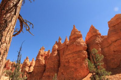 États-Unis — étape 9 : Parc national de Bryce Canyon