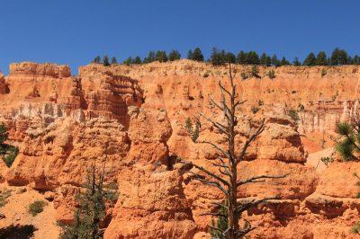 États-Unis — étape 9 : Parc national de Bryce Canyon