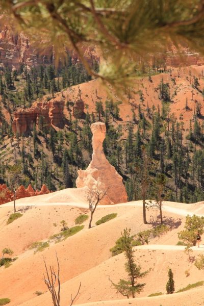 États-Unis — étape 9 : Parc national de Bryce Canyon