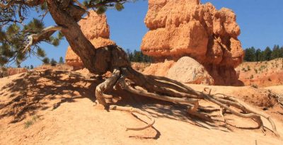États-Unis — étape 9 : Parc national de Bryce Canyon