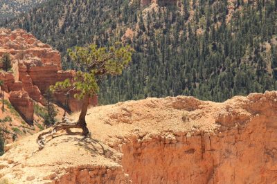 États-Unis — étape 9 : Parc national de Bryce Canyon