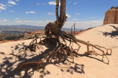 États-Unis — étape 9 : Parc national de Bryce Canyon