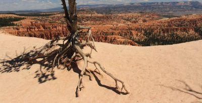 États-Unis — étape 9 : Parc national de Bryce Canyon