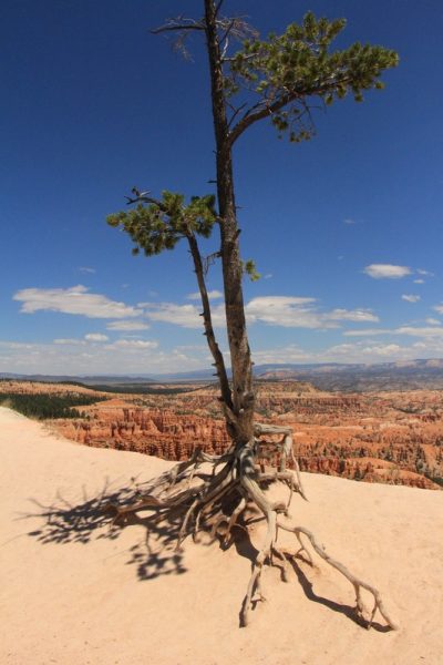 États-Unis — étape 9 : Parc national de Bryce Canyon