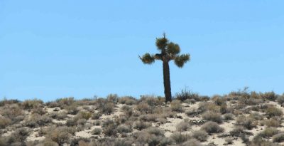 États-Unis — étape 3 : Death Valley National Park