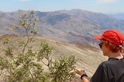 États-Unis — étape 3 : Death Valley National Park