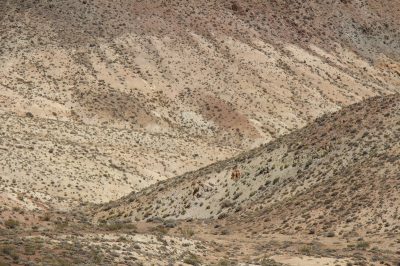 États-Unis — étape 3 : Death Valley National Park