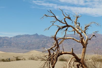 États-Unis — étape 3 : Death Valley National Park