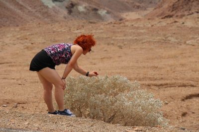 États-Unis — étape 3 : Death Valley National Park