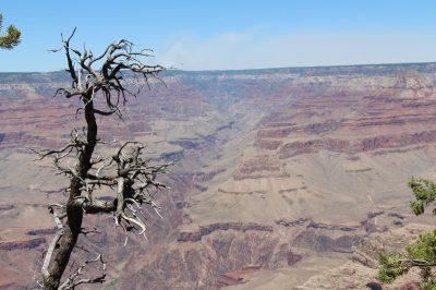États-Unis — étape 6 : Parc National du Grand Canyon