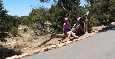 États-Unis — étape 6 : Parc National du Grand Canyon