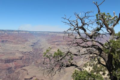 États-Unis — étape 6 : Parc National du Grand Canyon