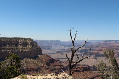 États-Unis — étape 6 : Parc National du Grand Canyon