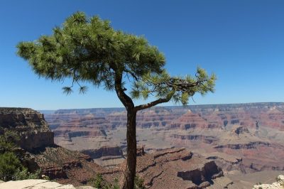 États-Unis — étape 6 : Parc National du Grand Canyon