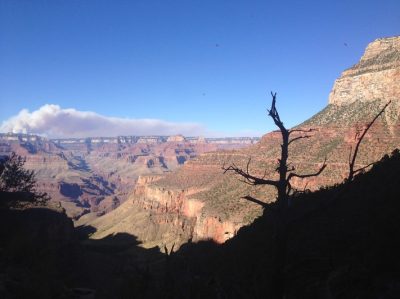 États-Unis — étape 6 : Parc National du Grand Canyon