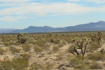 États-Unis — étape 4 : Las Vegas (Sin City)