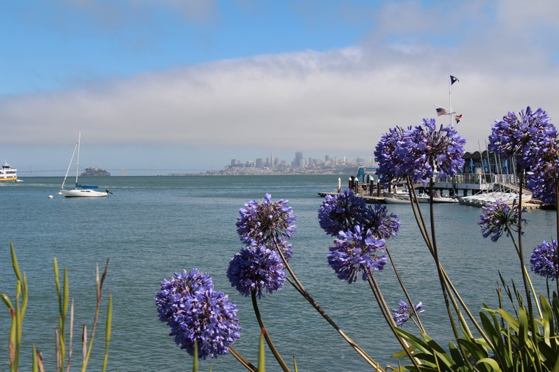 États-Unis – Étape 1 – San Francisco