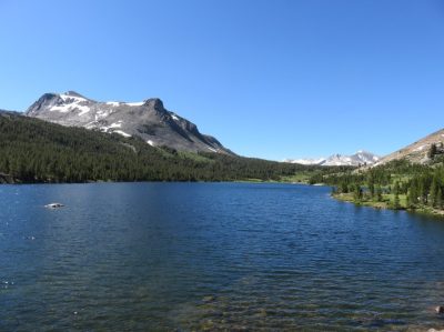 États-Unis — étape 2 : Yosemite National Park