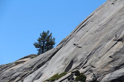 États-Unis — étape 2 : Yosemite National Park