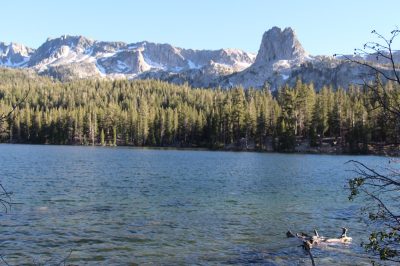États-Unis — étape 2 : Yosemite National Park