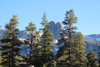 États-Unis — étape 2 : Yosemite National Park