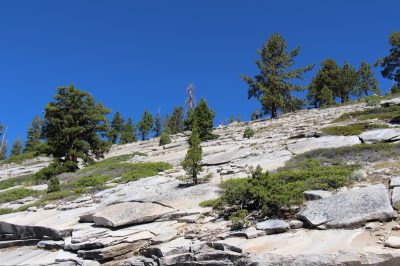 États-Unis — étape 2 : Yosemite National Park
