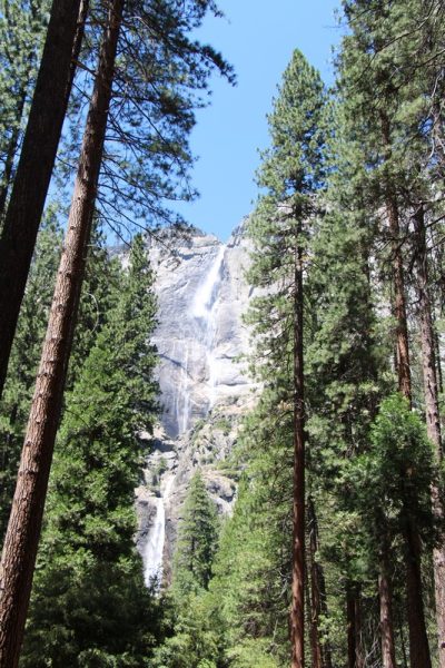 États-Unis — étape 2 : Yosemite National Park