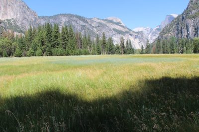 États-Unis — étape 2 : Yosemite National Park