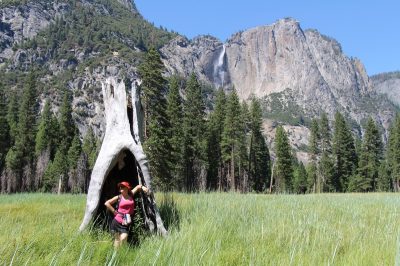 États-Unis — étape 2 : Yosemite National Park