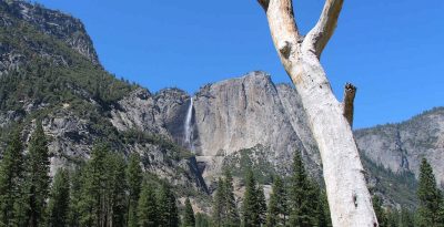 États-Unis — étape 2 : Yosemite National Park