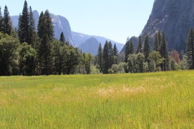 États-Unis — étape 2 : Yosemite National Park
