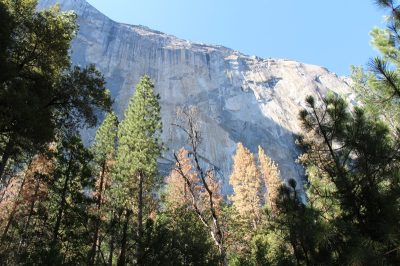 États-Unis — étape 2 : Yosemite National Park